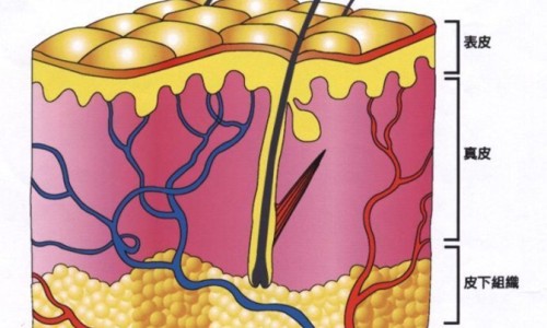 哺乳期甲状腺囊肿会恢复吗网—知名的哺乳期甲状腺偏高对宝宝影响网站,分享哺乳期甲状腺不正常可以喂奶吗知识